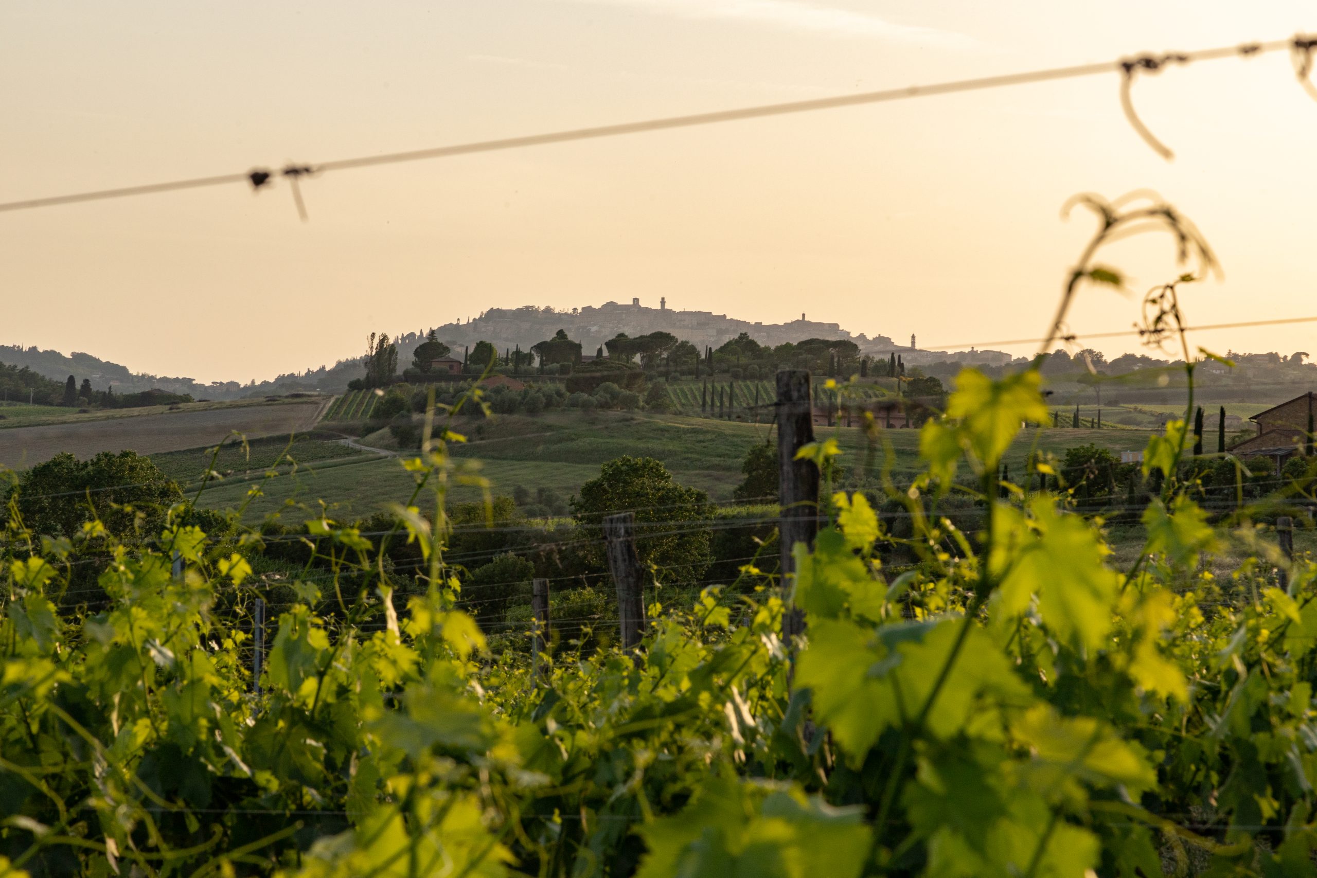 Il nostro territorio